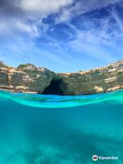 HYDRA Boat Trips