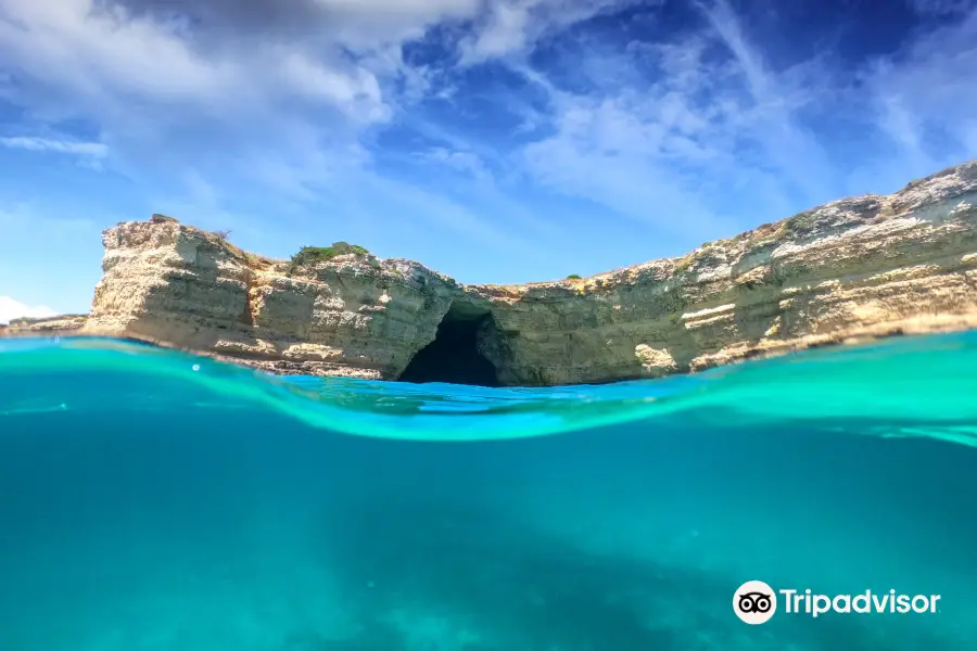 HYDRA Boat Trips