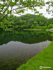 蓼の海公園