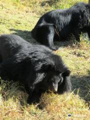 G B パント・ハイ・アルティチュード動物園