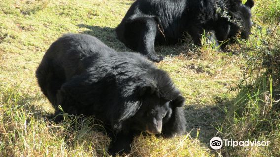 G B Pant High Altitude Zoo