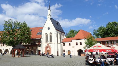 Piastowski Castle