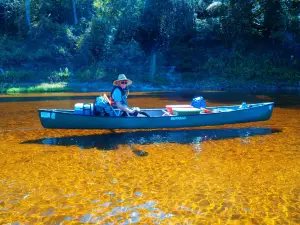 Suwannee Canoe Outpost