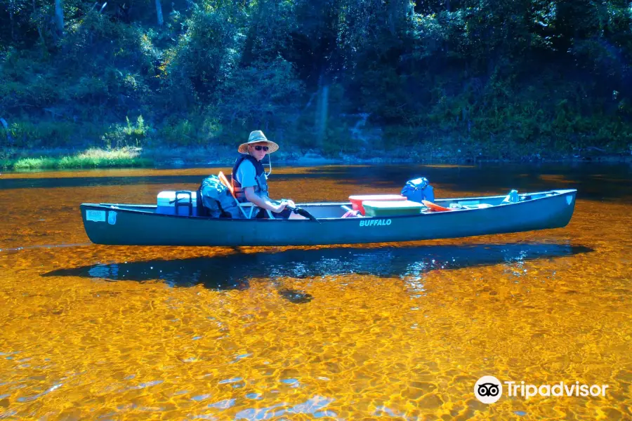 Suwannee Canoe Outpost