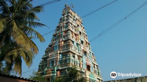 Shri Mariamman Kovil Punnainallur, Thanjavur