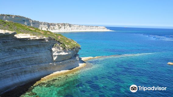 Xrobb l-Għaġin