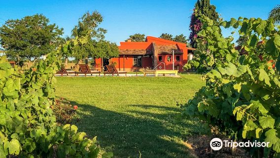 Bodega Boutique El Legado