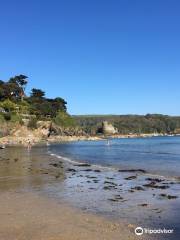 Salcombe North Sands