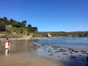 Salcombe North Sands