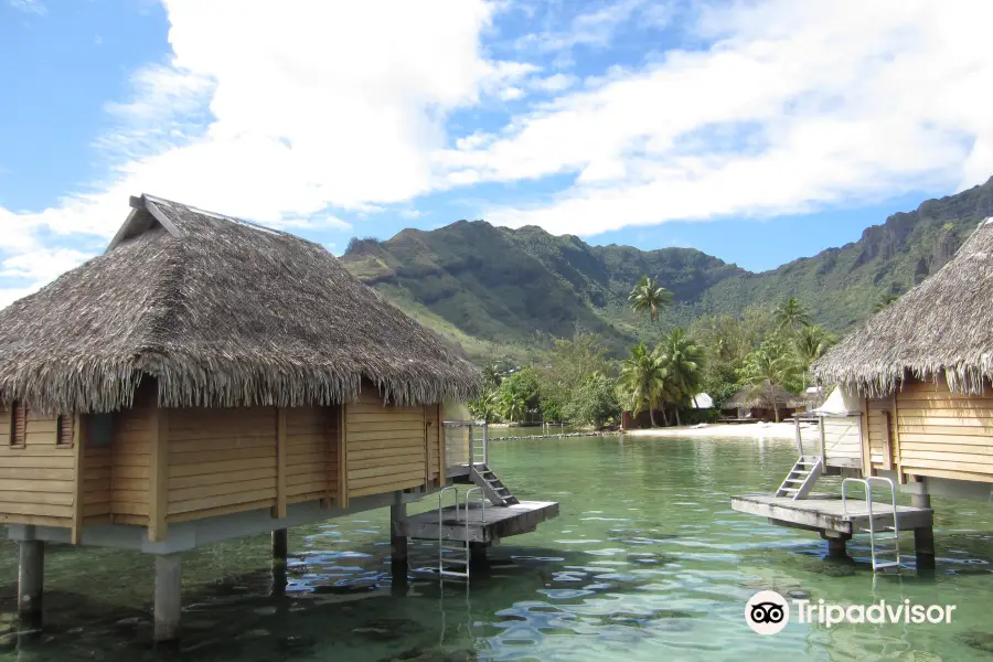 Moorea Jet Ski Tours