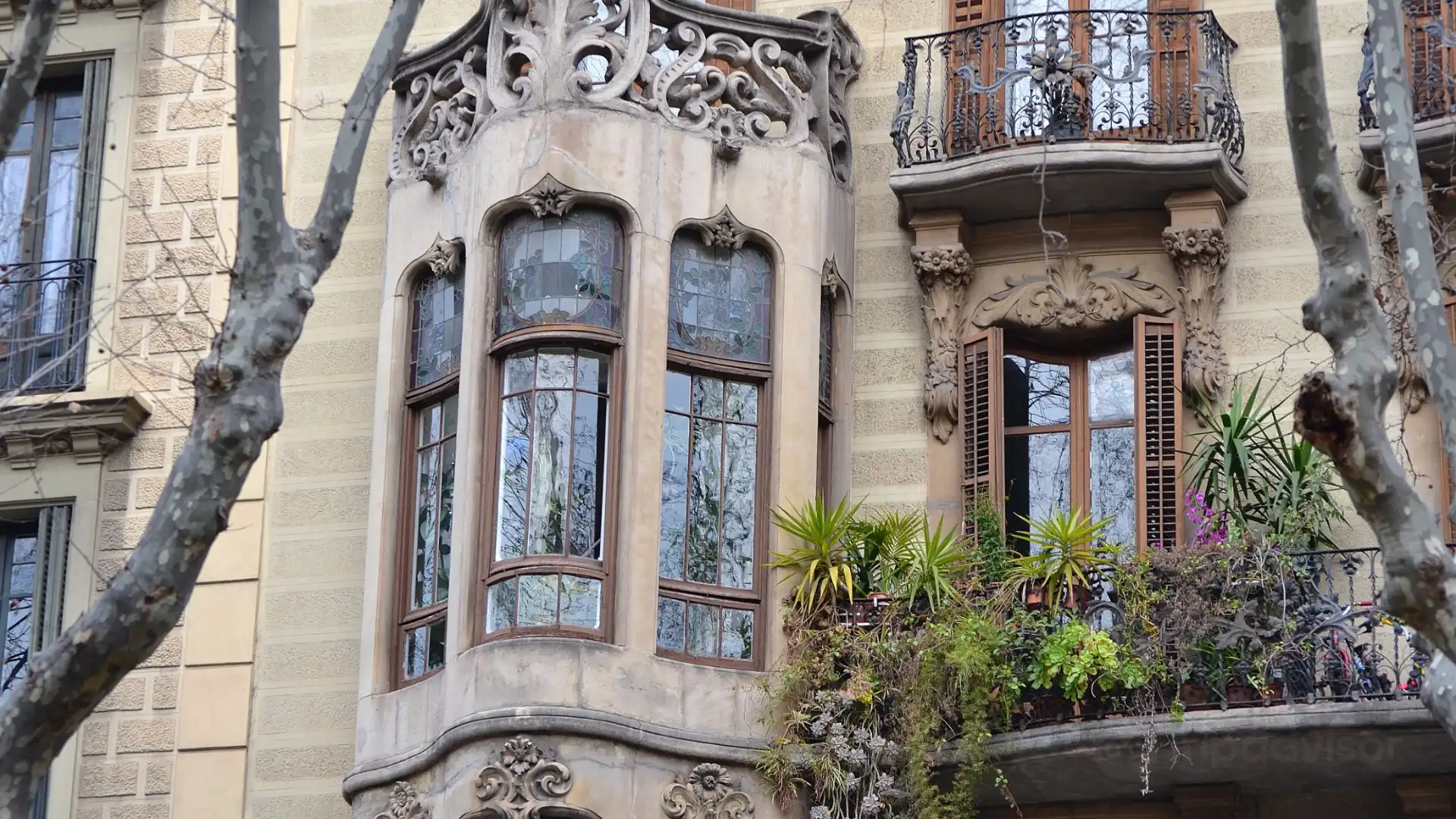 Hoteles cerca de Palau Macaya, centro Unesco