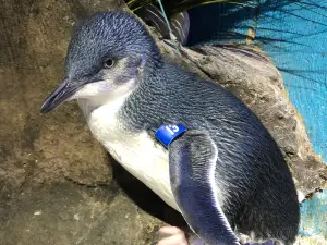 アドベンチャー水族館