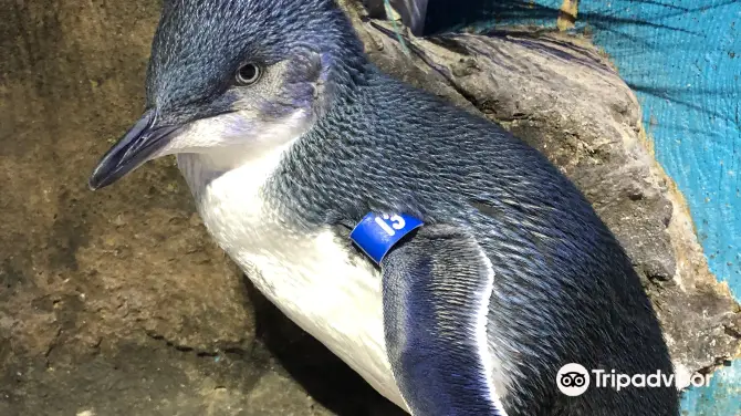 4_坎姆頓探險水族館
