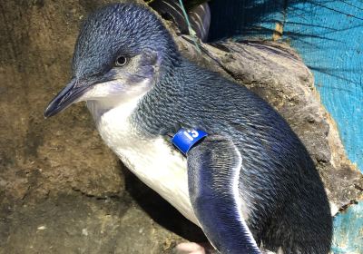 アドベンチャー水族館