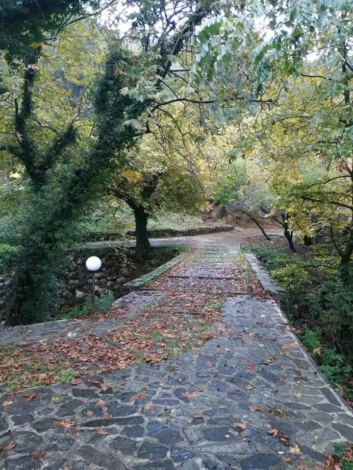 Hotels in Vourgareli