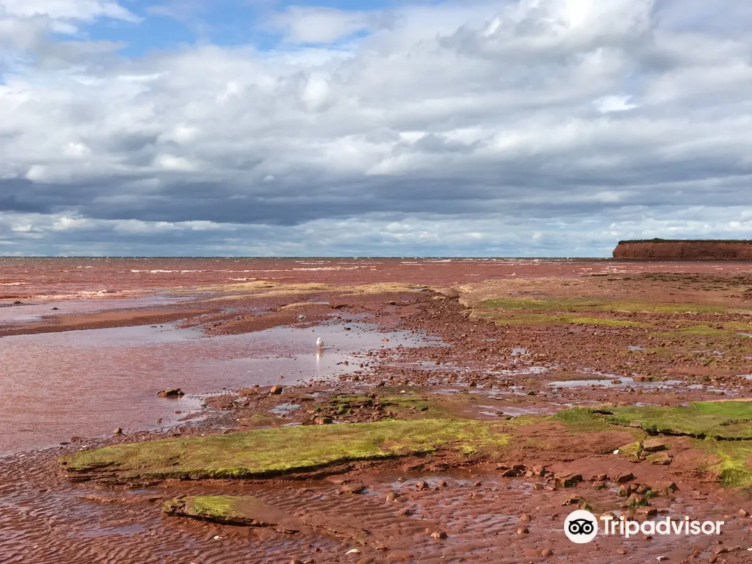 2_Argyle Shore Provincial Park