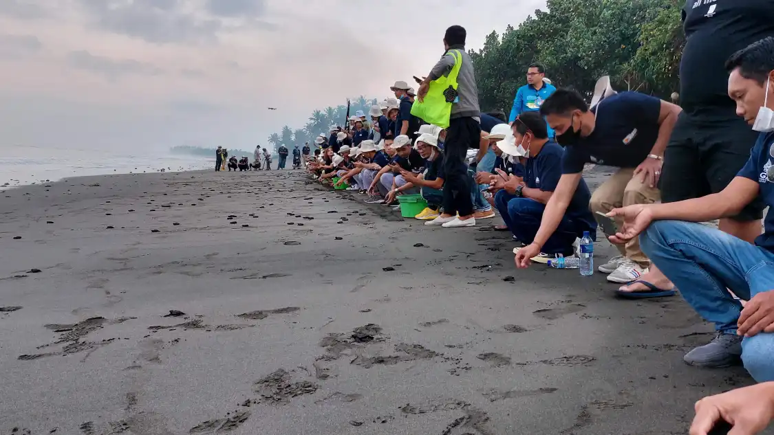 Hotel dekat Kurma Asih Sea Turtle Conservation Center