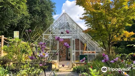 Highdown Gardens