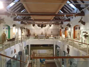 Museum Im Ritterhaus