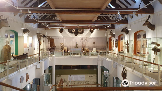 Museum Im Ritterhaus