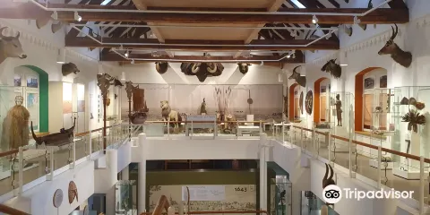 Museum Im Ritterhaus