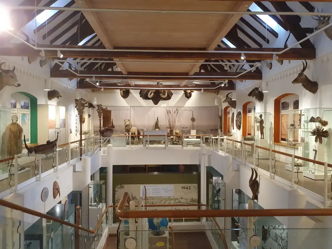 Hotels near Museum Im Ritterhaus