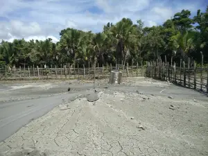 Mud Volcano