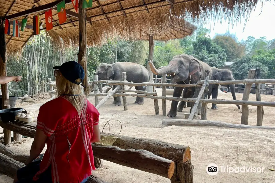 MAERIM ELEPHANT HOME ปางช้างแม่ริม