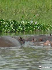 Nile Delta Cruises - Murchison Falls