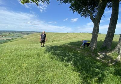 Roundway Down Iron Age Hill Fort