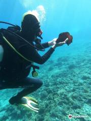 Opensea Diving