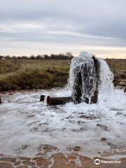 Tsaritsinskiy Spring