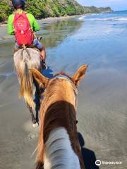 Cabo Blanco Travelers