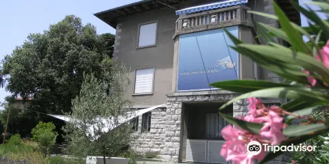 里耶卡自然歷史博物館