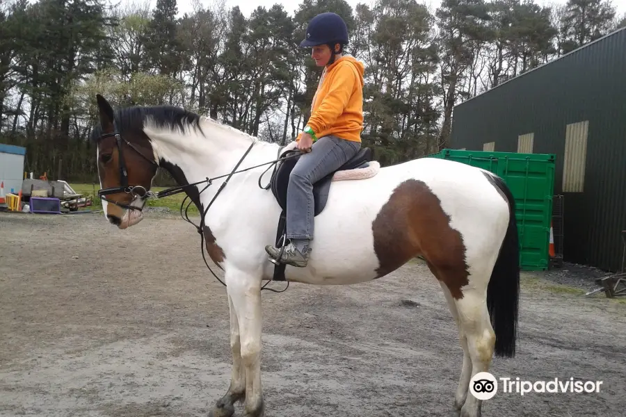 Ayr Equestrian Centre