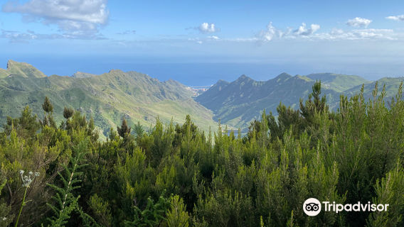 Santa Cruz de Tenerife