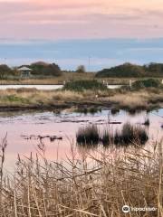 RSPB Lodmoor