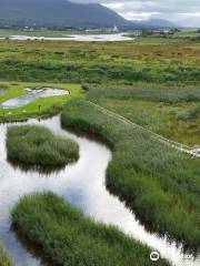 Tralee Bay Wetlands Eco and Activity Park