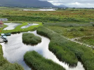 Tralee Bay Wetlands Eco and Activity Park