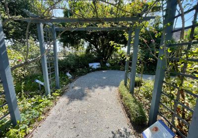 Alister Clark Memorial Rose Garden