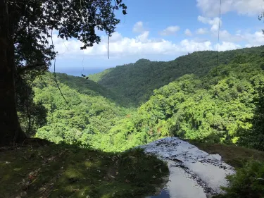 德雷珀斯