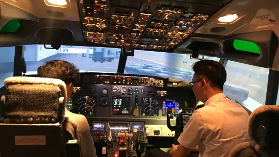 Flight Experience Johor Bahru-Boeing 737 Simulator