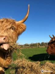 Beacon Farm Ice Cream, Campsite & Tearooms