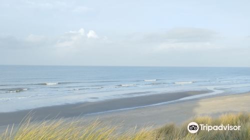 Dune du Perroquet