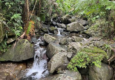 Juan Diego Falls