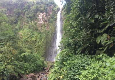 Carbet Falls (Les Chutes du Carbet)