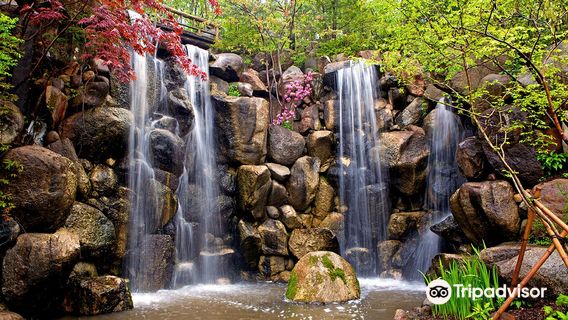 Anderson Japanese Gardens