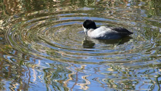 Sweetwater Wetlands Park