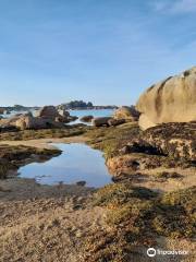 Plage de Tourony