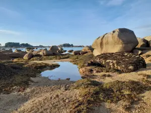 Plage de Tourony